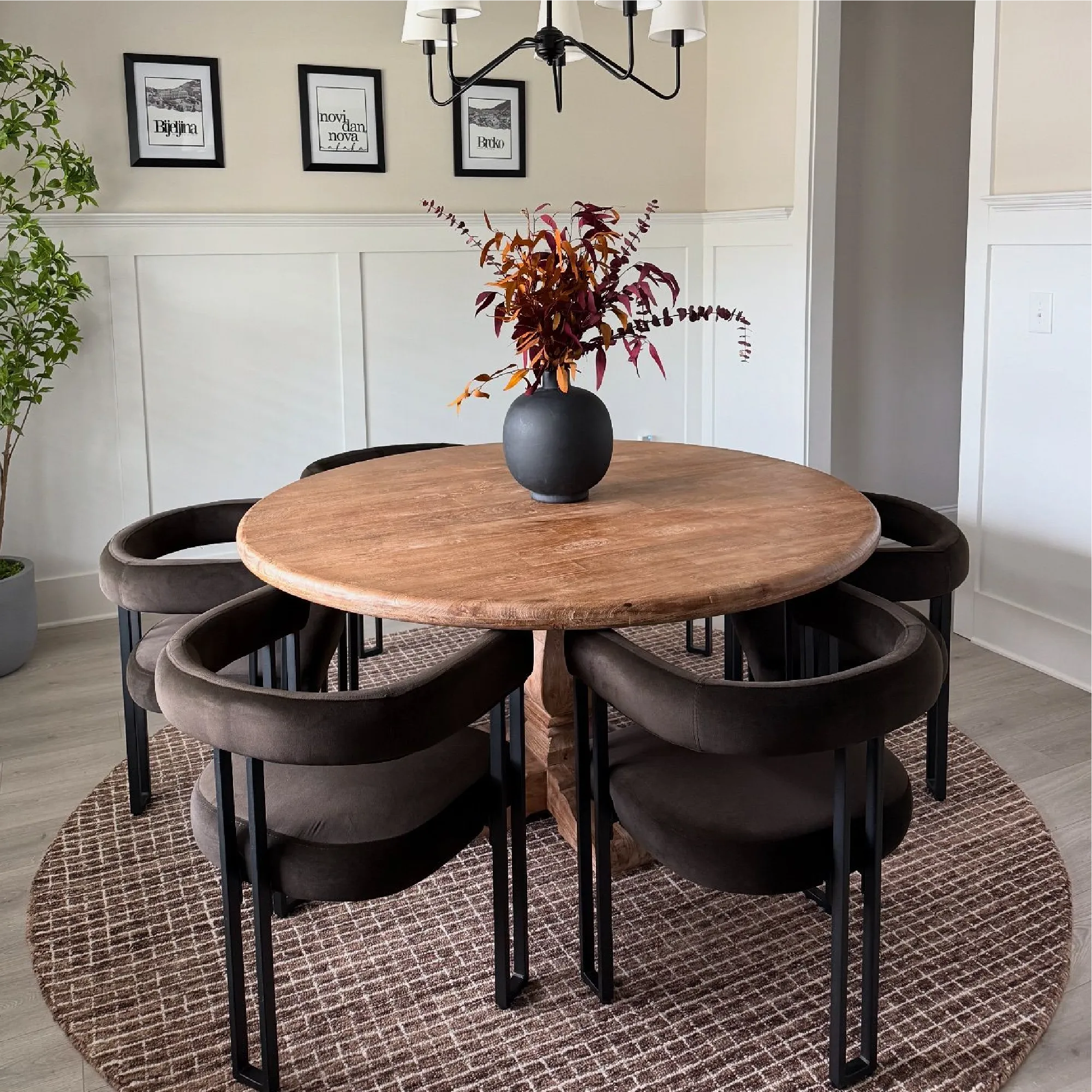 Mia Velvet Dining Chair with Arms (Set of 2)