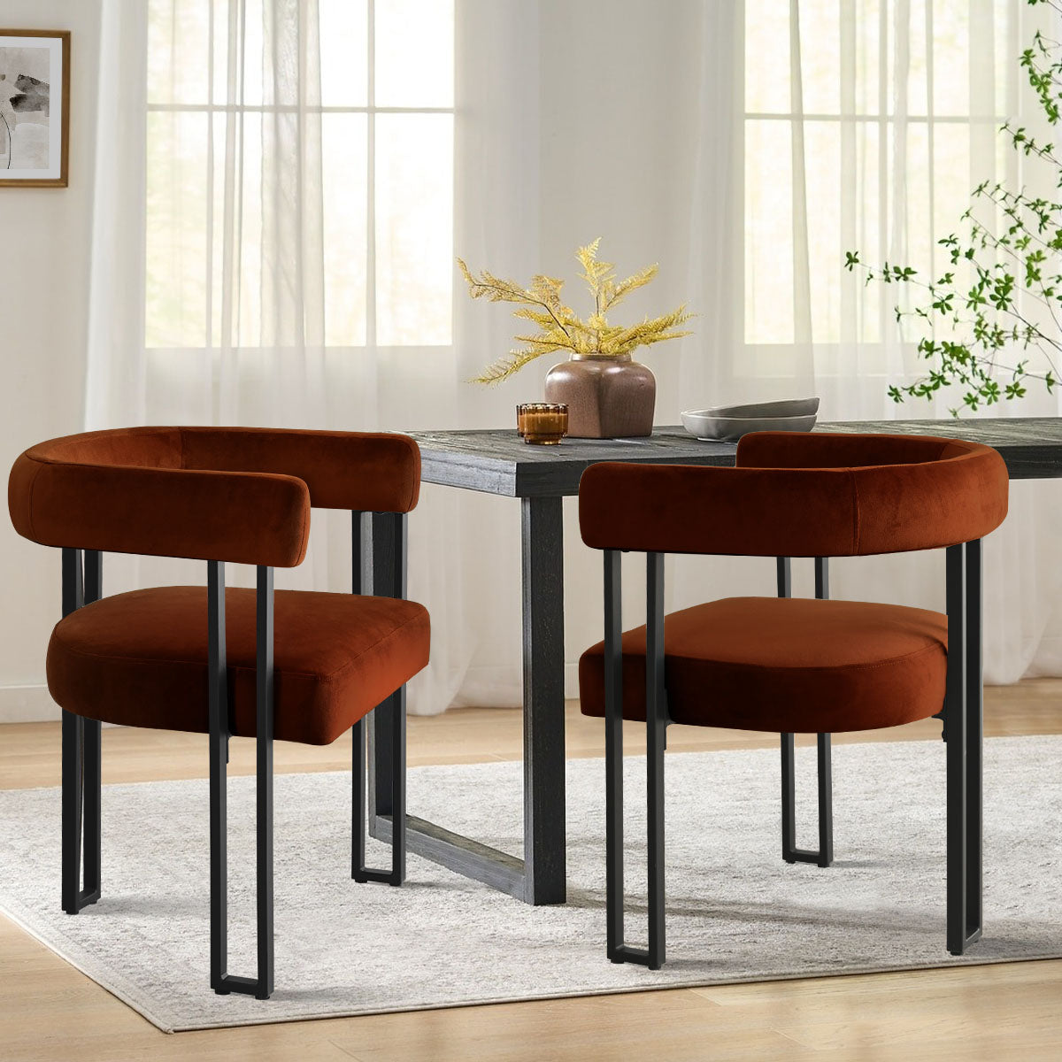 Mia Velvet Dining Chair with Arms (Set of 2)