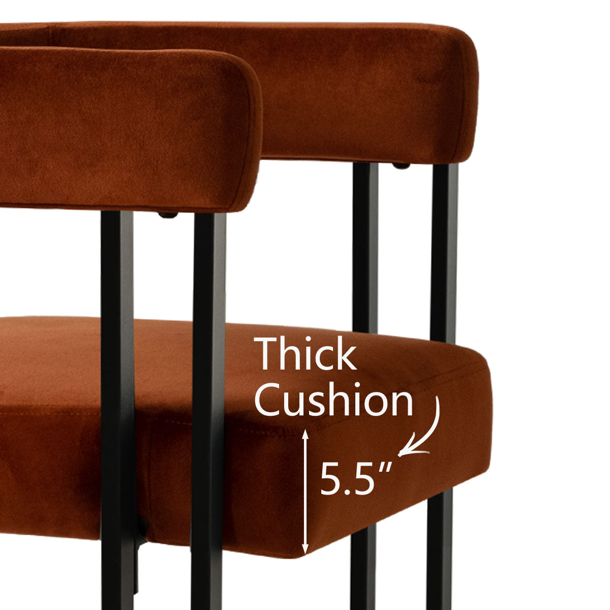 Mia Velvet Dining Chair with Arms (Set of 2)