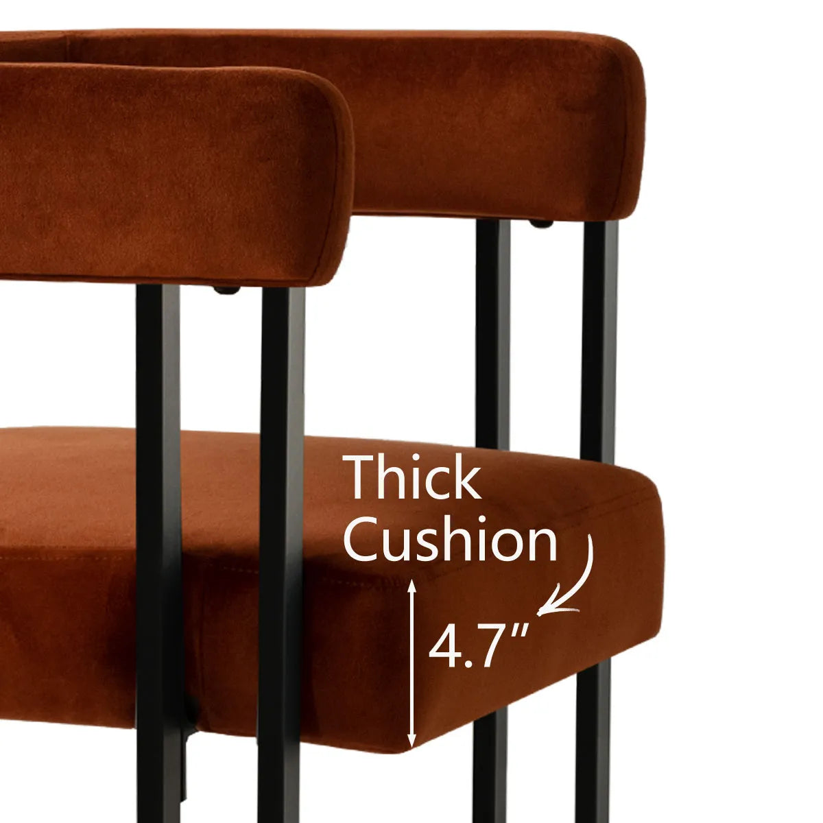 Mia Velvet Dining Chair with Arms (Set of 2)