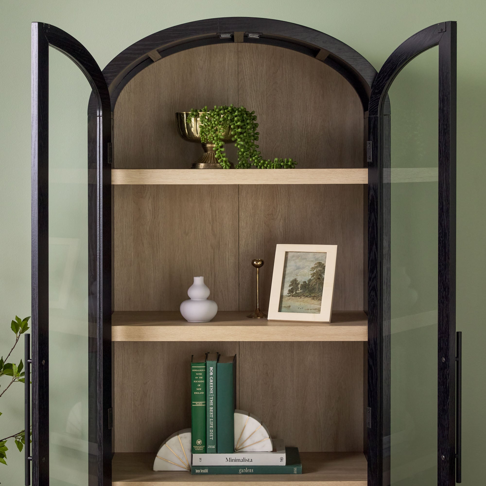 Parisian Modern 5 Shelf Arched Tall Bookcase with Glass Doors