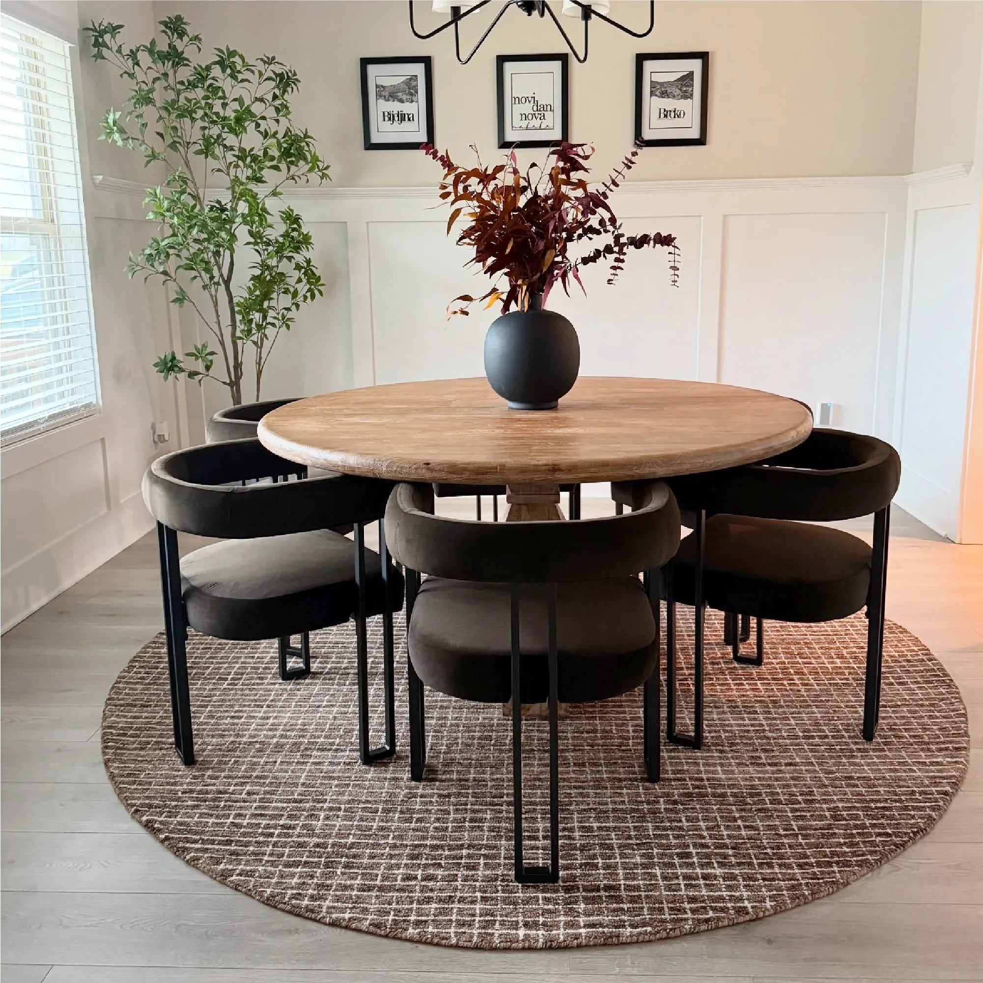 Mia Velvet Dining Chair with Arms (Set of 4)