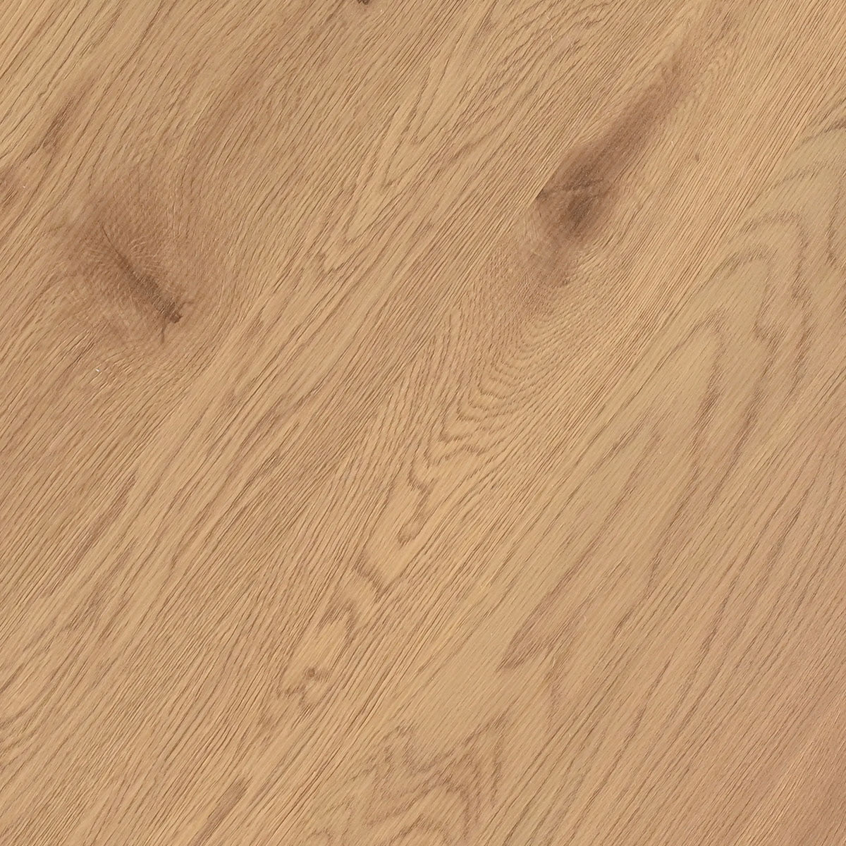 Musk 41.5" Modern Round Dining Table